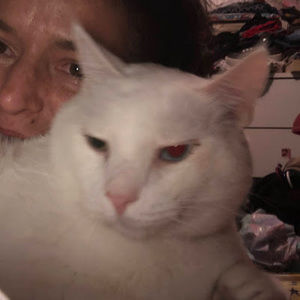 Meet your Posher, Kelly